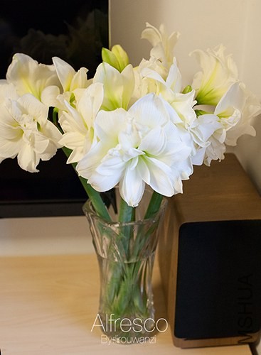 00IMG_3390.jpg