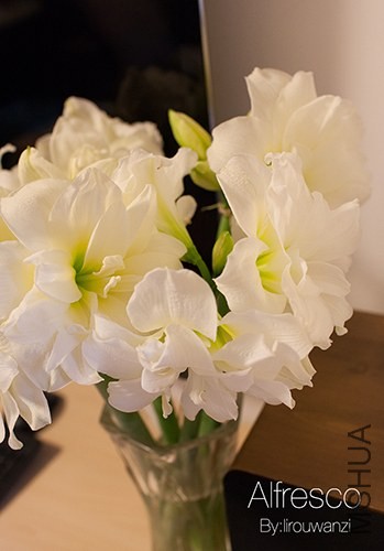 00IMG_3401.jpg