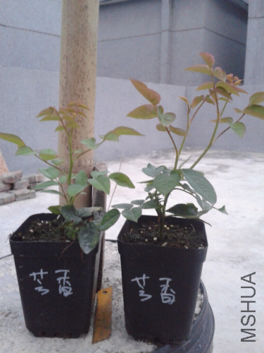 2014-04-24 18.46.08.jpg