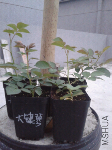 2014-04-24 18.47.34.jpg