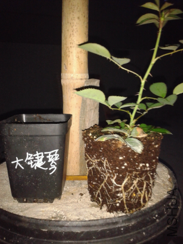 2014-04-24 19.02.20.jpg