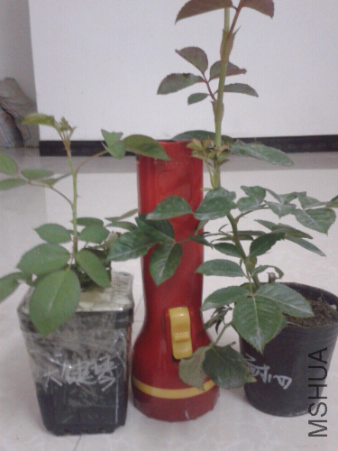 2014-04-25 00.19.13.jpg