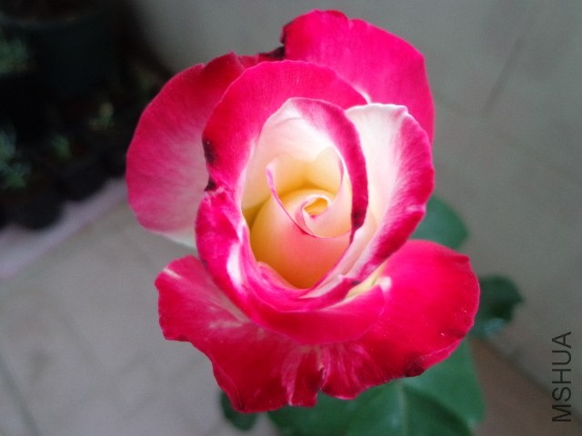 DSC01314.JPG