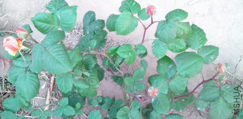 QQ��ͼ20140425091300.jpg