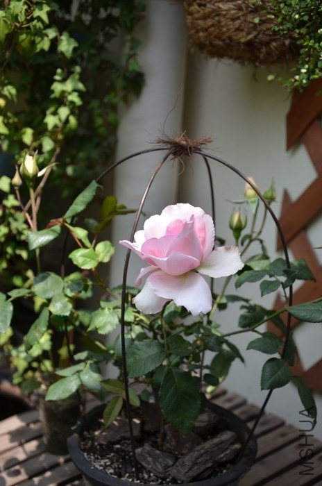 DSC_2159.JPG