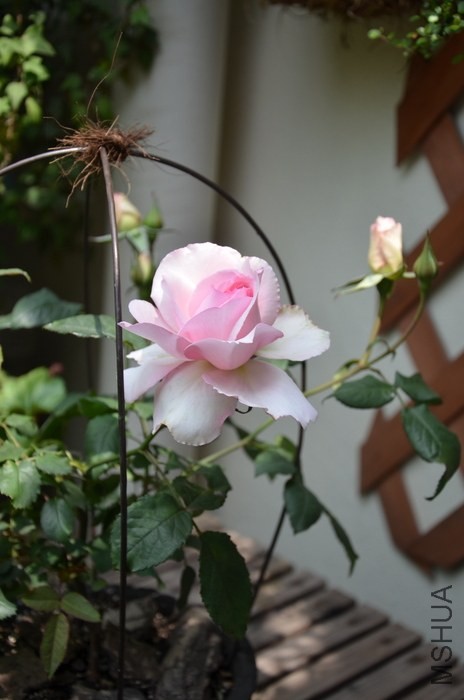 DSC_2161.JPG