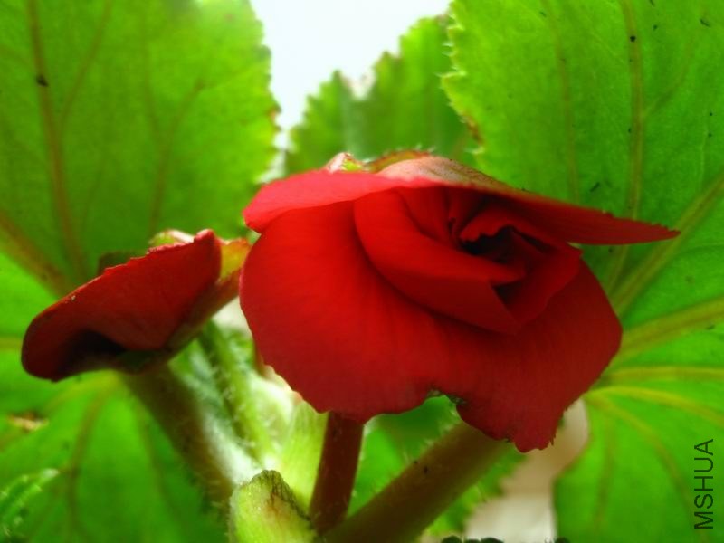 �����ݲ�1 056.JPG
