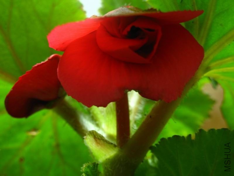 �����ݲ�1 057.JPG
