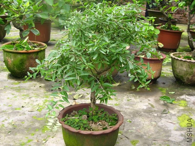 �����ݲ�1 015.JPG