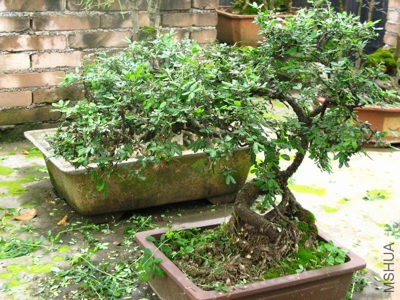 �����ݲ�1 018.JPG