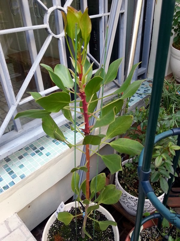 ������20140425.jpg