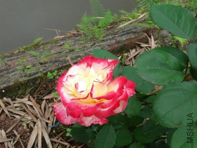 20140425_093431_resized.jpg