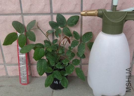 QQ��ͼ20140425123756.jpg