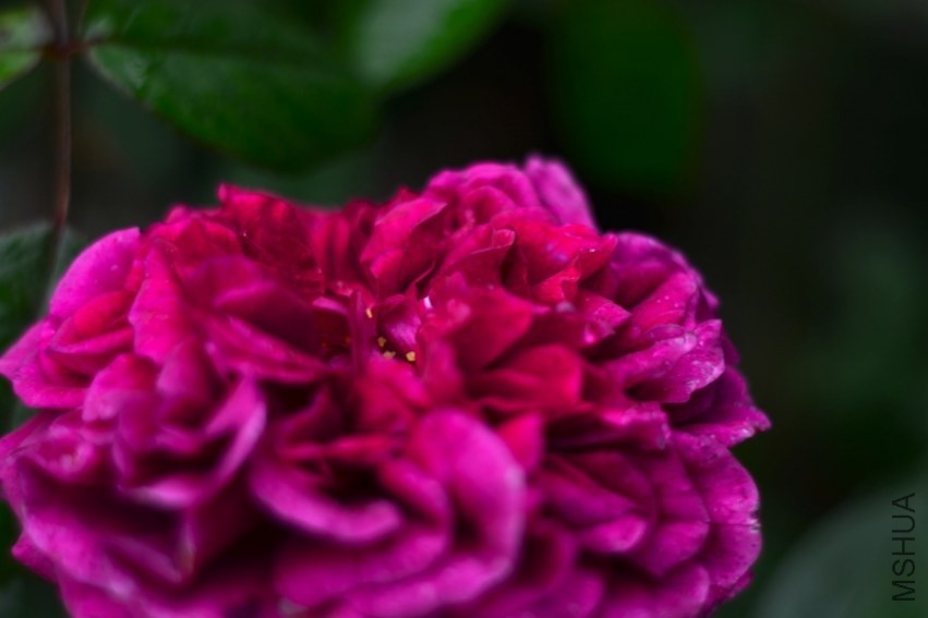 DSC_0880.jpg