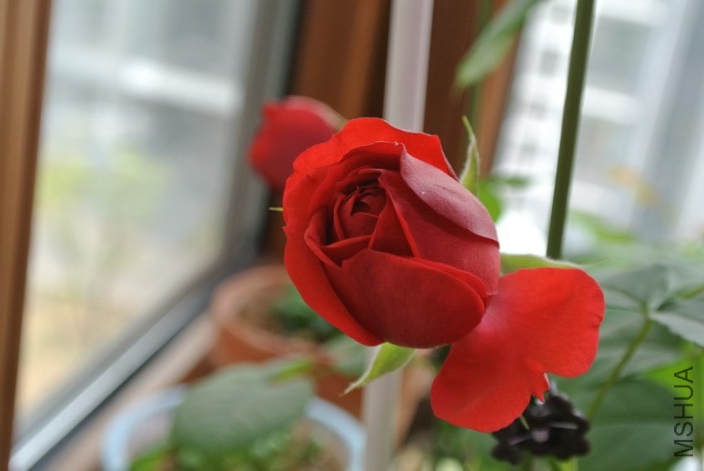 DSC_1899_������С.JPG