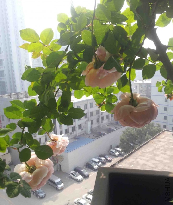 20131005_103517.jpg
