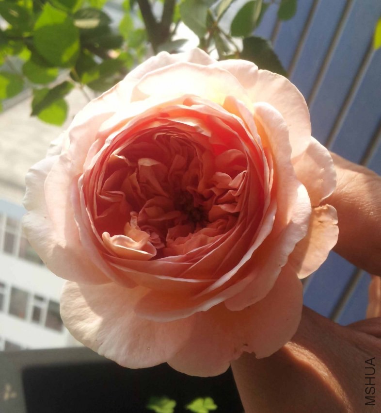 20131005_103546.jpg