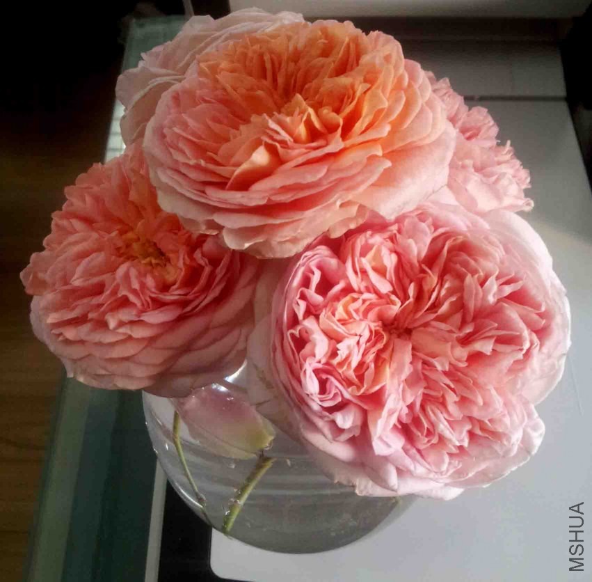 20131008_083023.jpg