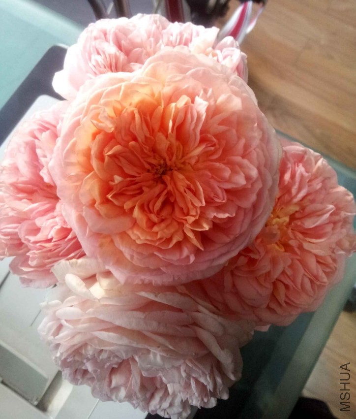 20131008_083053.jpg