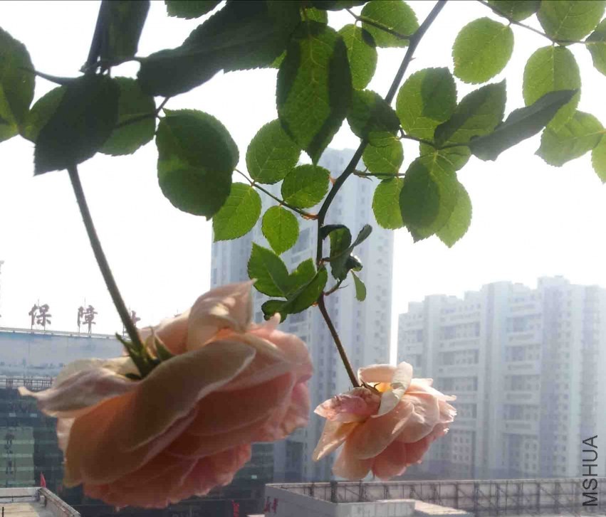 20131005_103442.jpg