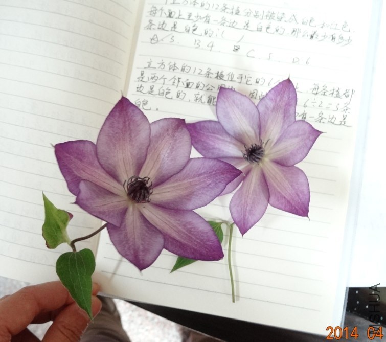 QQ��ͼ20140425152155.jpg