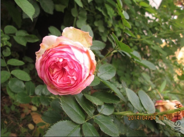 QQͼƬ20140425203642.jpg
