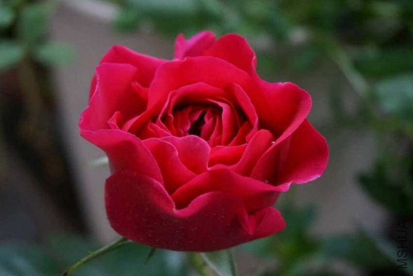 QQͼƬ20140424195753.jpg