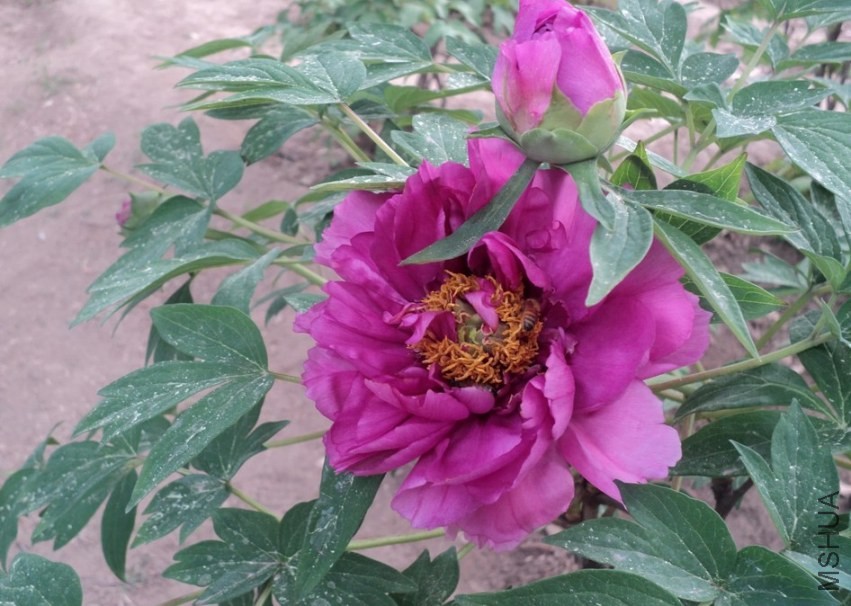 QQͼƬ20140425211617.jpg