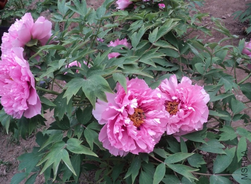 QQͼƬ20140425211611.jpg