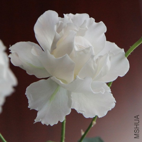 IMG_7514'''.jpg