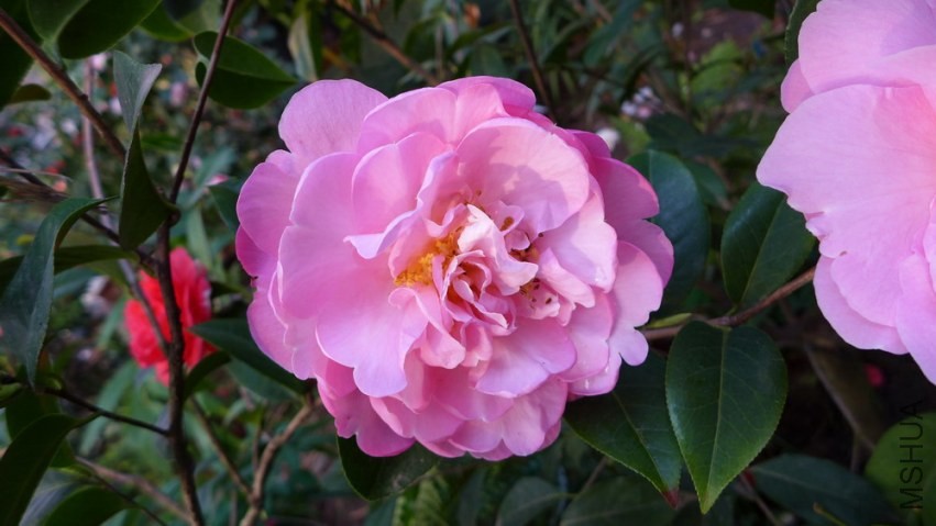 P1450765.jpg