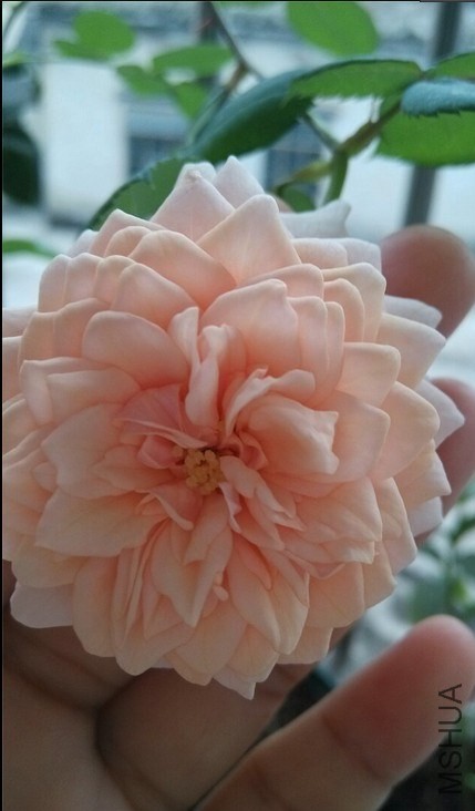 QQͼƬ20140426112444.jpg