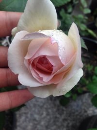 ����