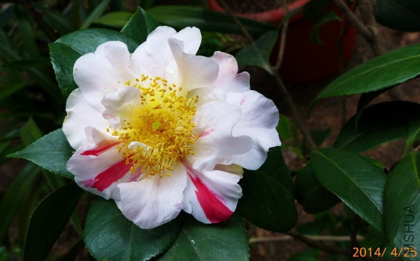 P1630443.jpg