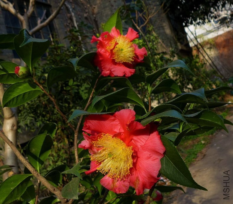 P1310219.jpg