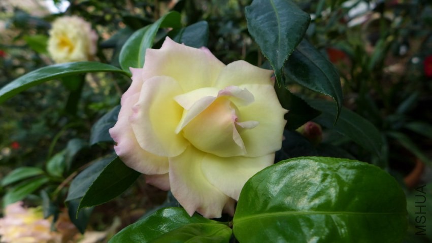 P1440085.jpg