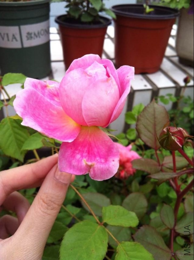 QQͼƬ20140426130532.jpg