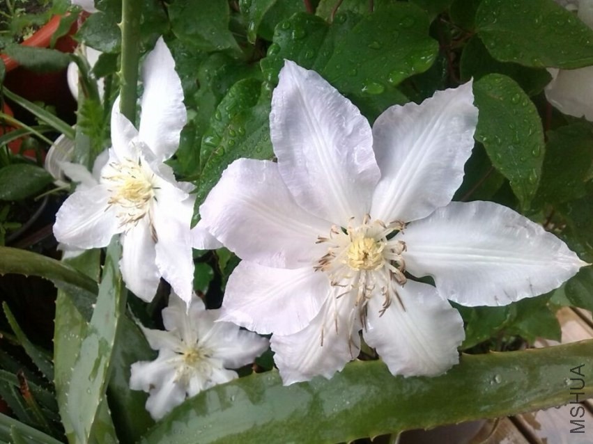 QQͼƬ20140426143434.jpg