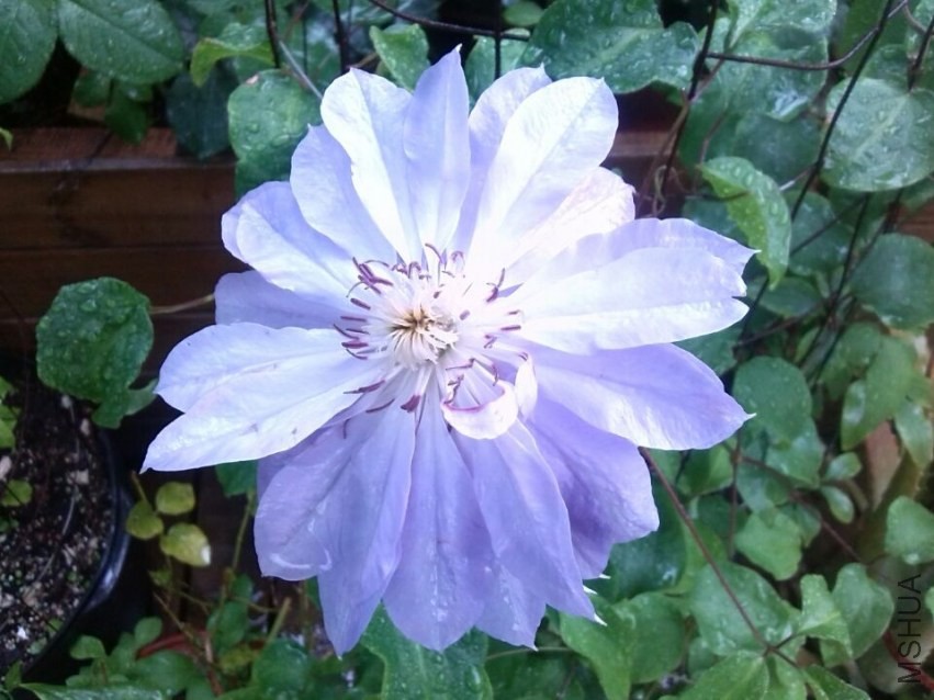 QQͼƬ20140426143506.jpg