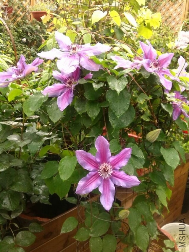 QQͼƬ20140426143513.jpg