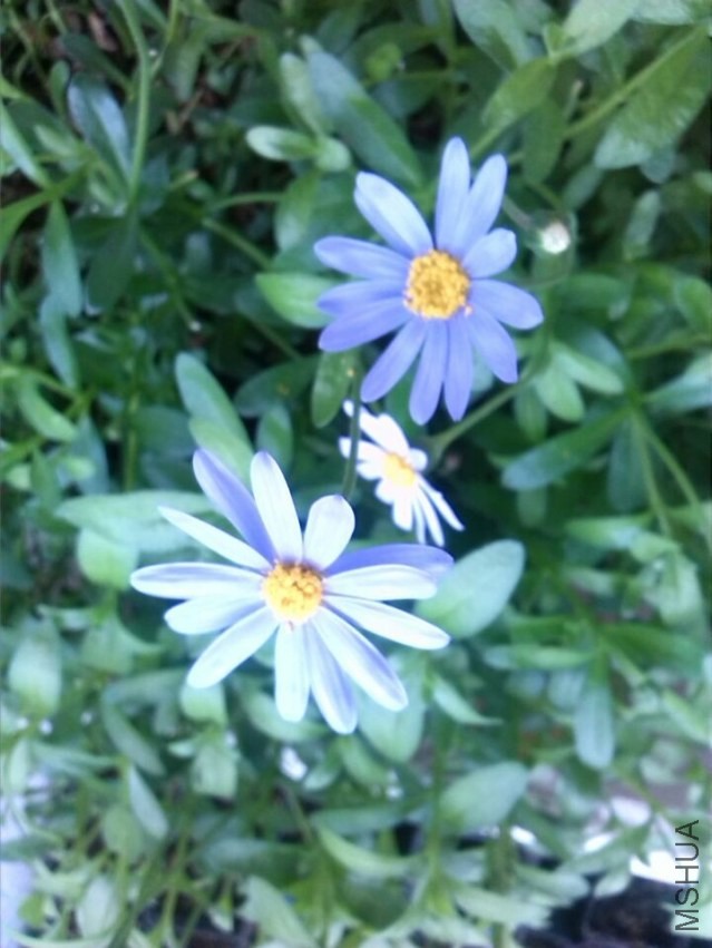 QQͼƬ20140426143344.jpg
