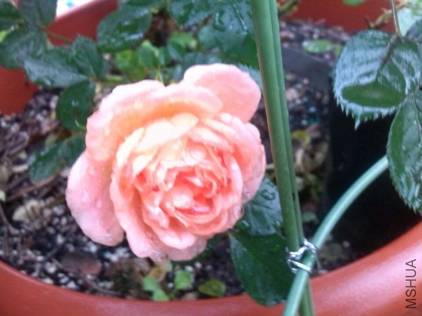QQͼƬ20140426143459.jpg