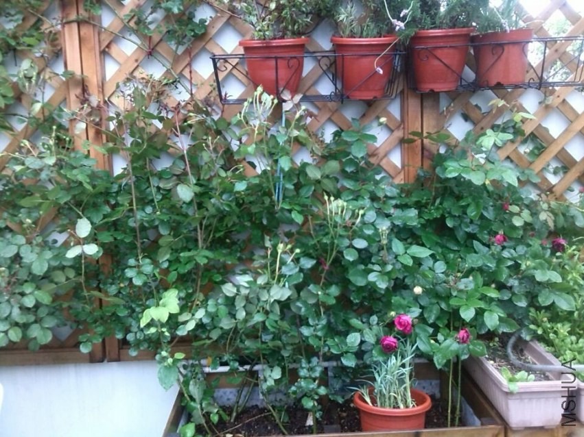 QQͼƬ20140426143530.jpg