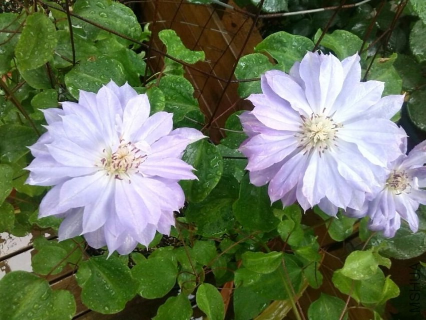 QQͼƬ20140426143536.jpg