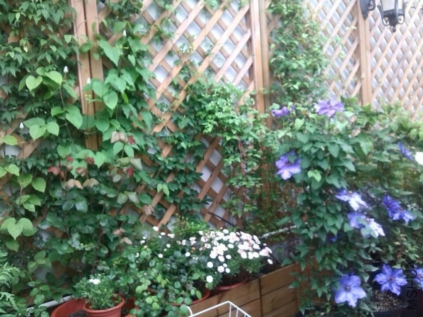 QQͼƬ20140426143611.jpg