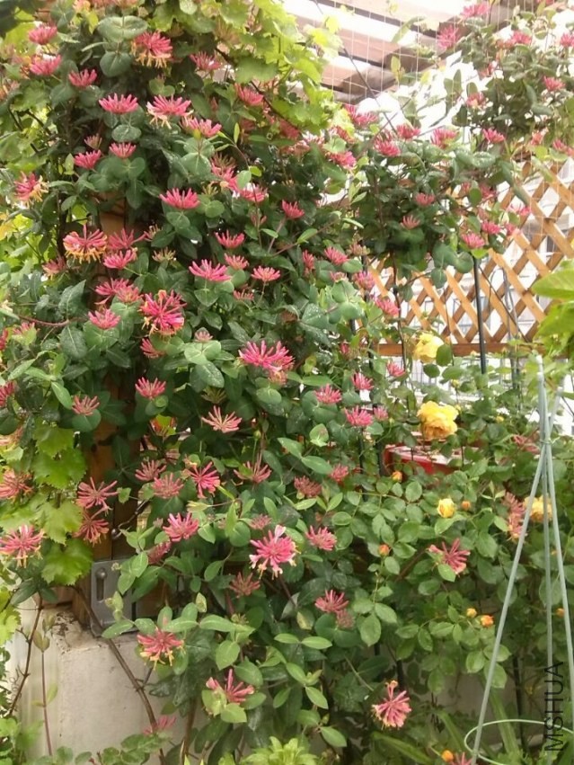 QQͼƬ20140426143639.jpg