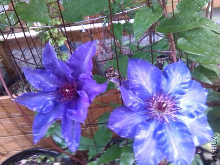 QQͼƬ20140426143813.jpg
