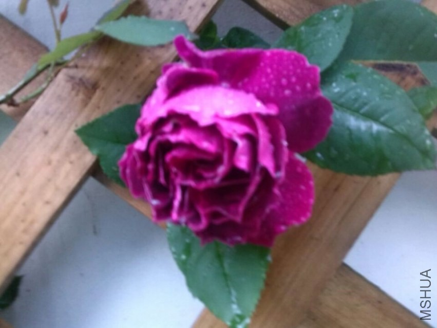 QQͼƬ20140426143724.jpg
