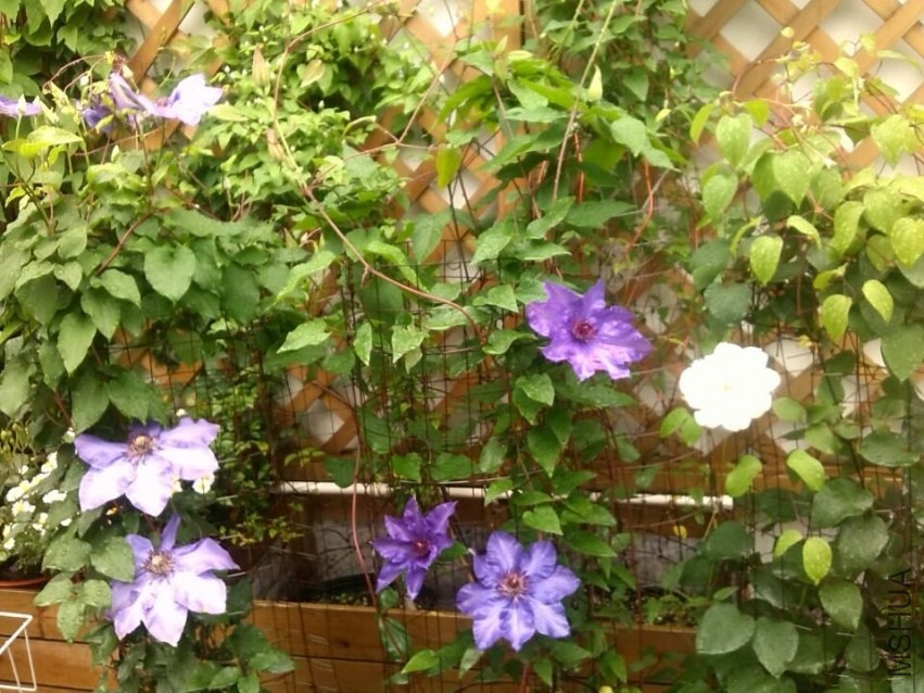 QQͼƬ20140426143739.jpg