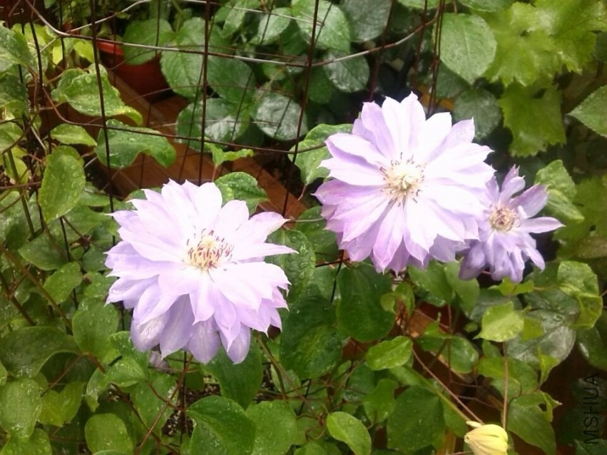 QQͼƬ20140426143800.jpg
